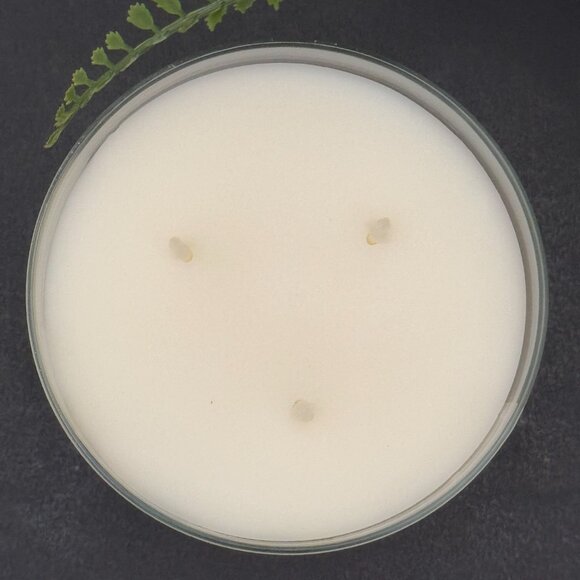 BBW Limoncello (Lemon) Bath & Body Works 3 Wick Candle - Picture 7 of 10